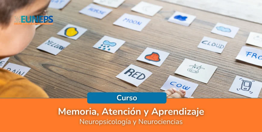 Memoria, Atencio╠ün y Aprendizaje.webp