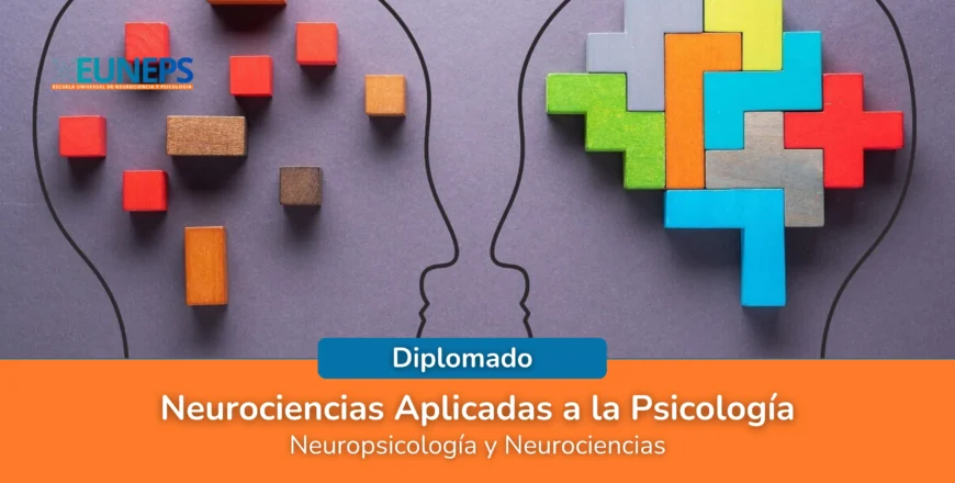 Neurociencias Aplicadas a la Psicologi╠üa.webp